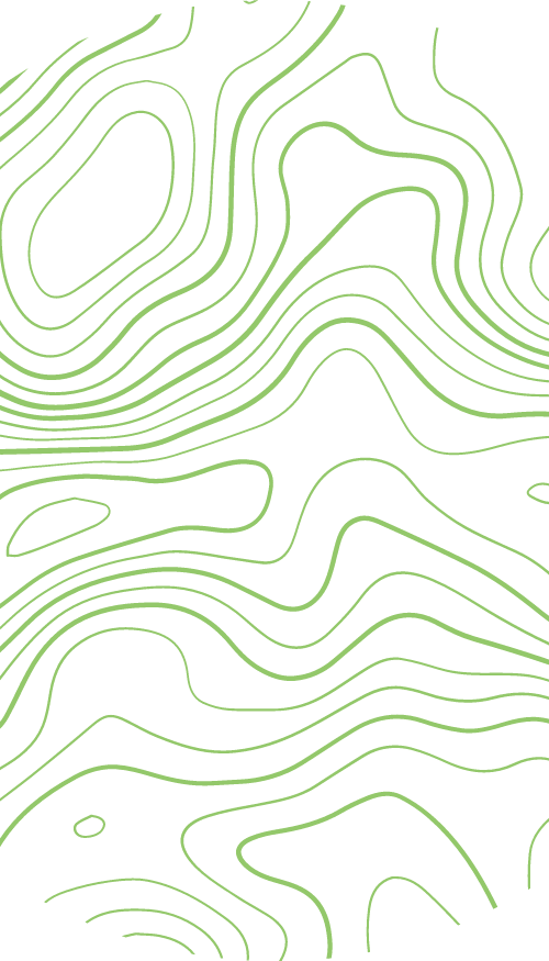 topography vert